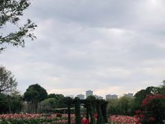 -厦门园林博览苑