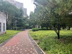 -南长河公园