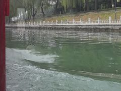 -皇家御河游(紫御湾码头)