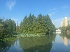 -白塘生态植物园