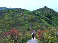 -大围山国家森林公园
