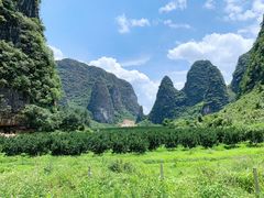 -钟山水墨田园