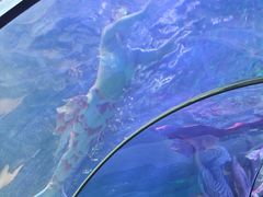 -洛阳龙门海洋馆