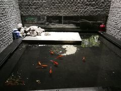 -五厨火锅(长城西一路店)