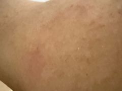 -深圳湾木棉花酒店