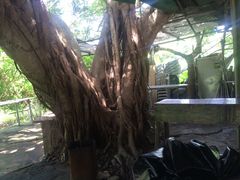 iphone_upload_pic-南丫岛