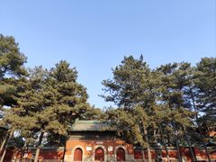 -普乐寺