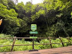 -海口火山口国家地质公园