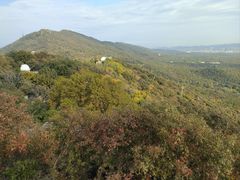 -紫金山天文台
