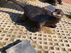 -广东惠东海龟国家级自然保护区