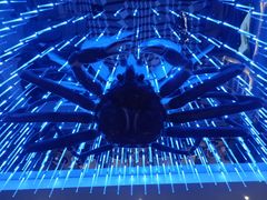 -蟹之国·精品蟹料理(极地店)