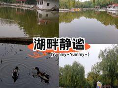 -丰台花园