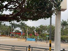 -万绿园