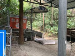 -玉苍山国家森林公园