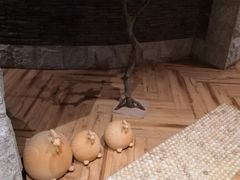 -盘锦红海温泉乐园