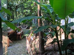 -西湖外事游船(花港观鱼码头)