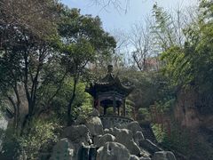 -西安曲江寒窑遗址公园