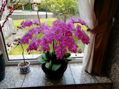 -上海虹桥迎宾馆