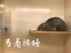 -龙猫仔乐园(惠福东路店)