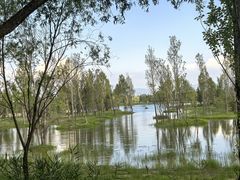 -野鸭湖国家湿地公园