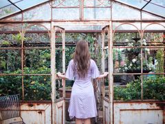 -The Grounds of Alexandria