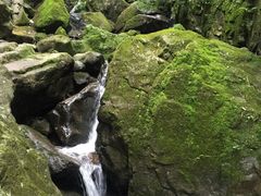 -藏龙百瀑风景区