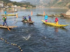 -新安江山水画廊风景区