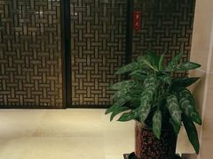 -七彩云南庆沣祥茶庄(金融街店)