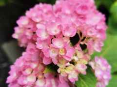 -常州古运河南大街文化旅游区-人民公园