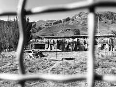 -新疆天山野生动物园