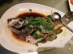 -沙龙酒家