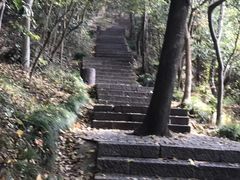 -紫金山索道-售票处