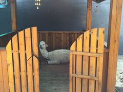 -瑞博尔花园酒店(太周创新产业园店)