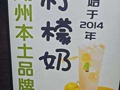 -猫的魔法密林(衣裳街店)