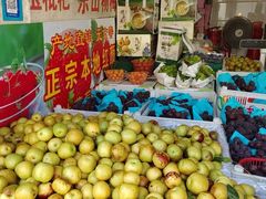-祝甸砖窑文化馆