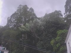 -火炉山森林公园