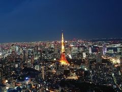 -六本木新城展望台(东京城市景观)