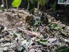 -上海海洋水族馆