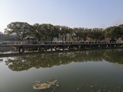 -月湖风景区