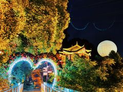 -巴倒烫陆派火锅山庄(南山总店)