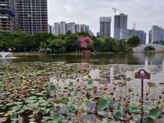 -映月湖公园