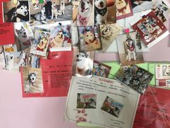 -Husky Go! 哈士奇体验馆·宠物咖啡厅狗咖