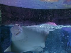 -沈阳海洋探索中心