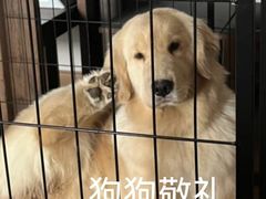 -海马体照相馆(南昌王府井购物中心店)
