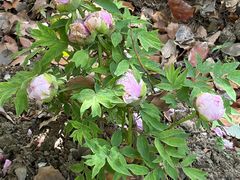 -江南大学(蠡湖校区)