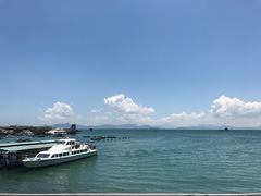 -一品格美术·中考高中成人美术培训