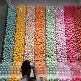 转转君探店→调色师🌈