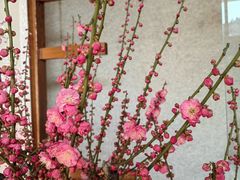 -无锡梅园公园