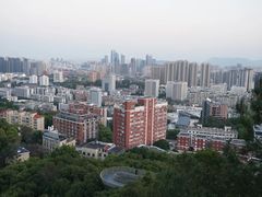 -福道