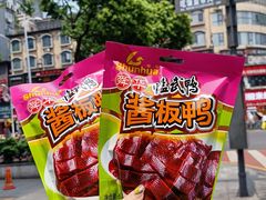 -舜华临武鸭·湖南零食特产(三王街店)
